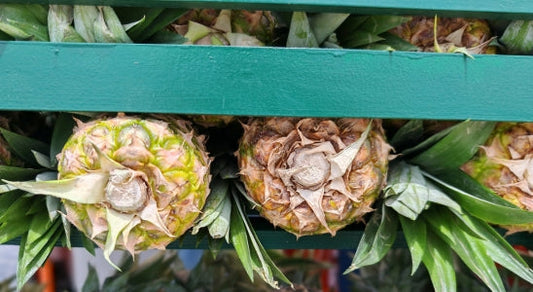 Des ananas fraîchement coupés dans une charrette