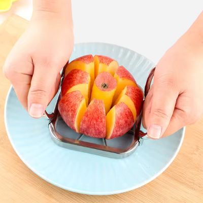 coupe frite 5 lames interchangeables pour coupes variées